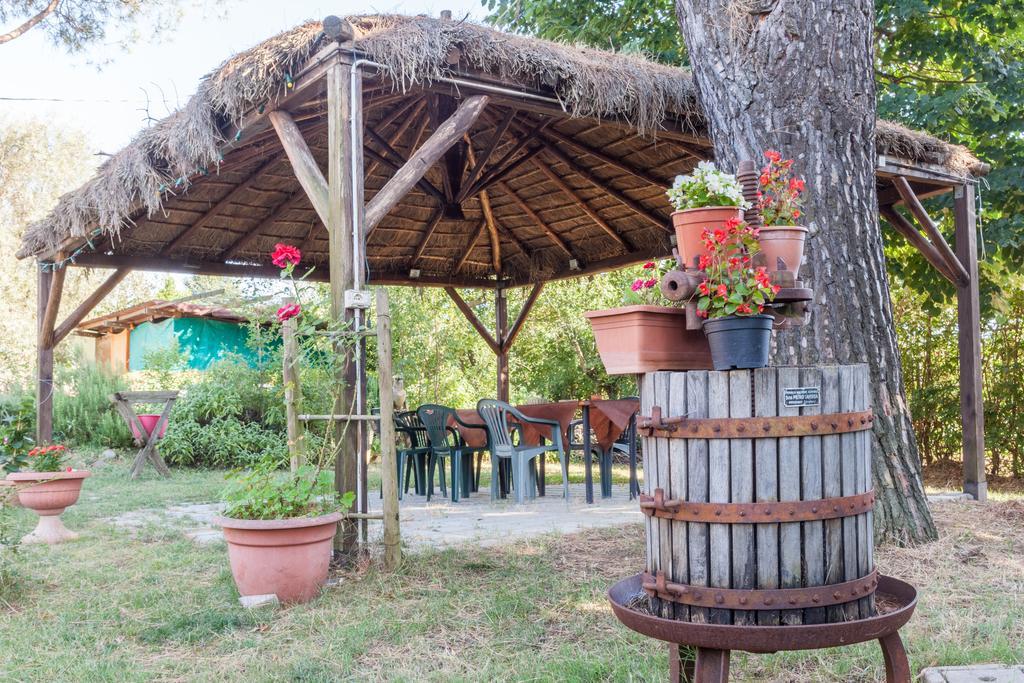 Agriturismo Artisti Del Cavallo Arezzo Exterior foto